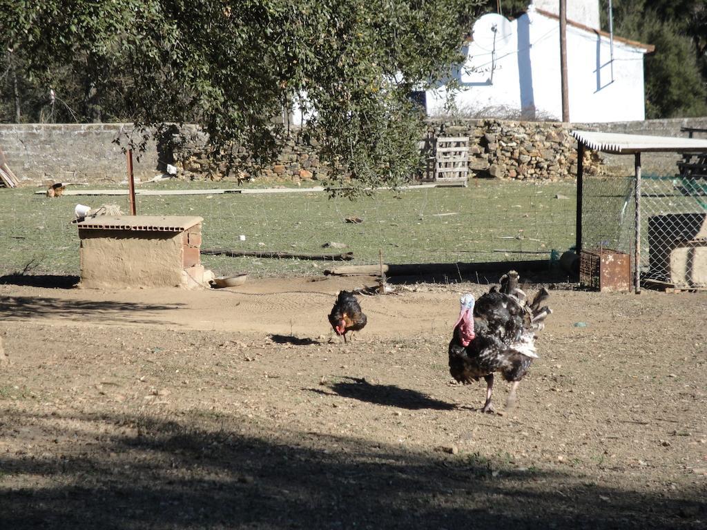 Casa Rural Sierra San Mamede La Codosera Zewnętrze zdjęcie