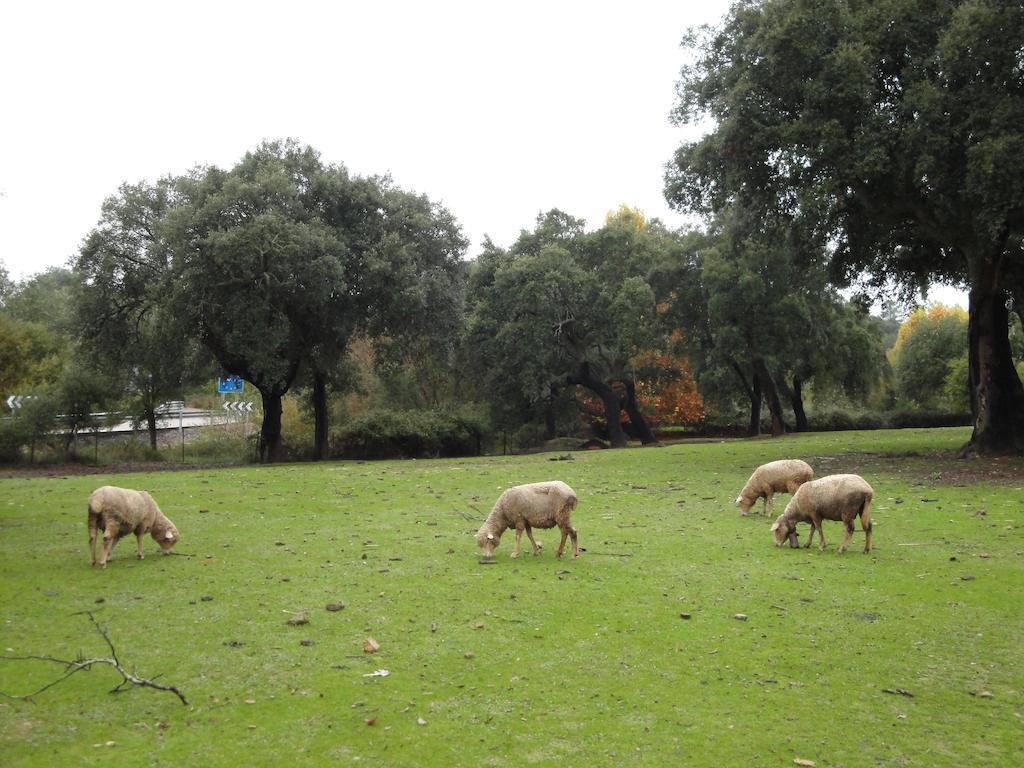 Casa Rural Sierra San Mamede La Codosera Zewnętrze zdjęcie
